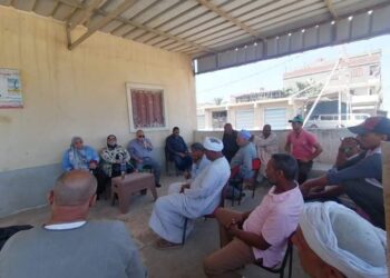 فرق إرشادية للمحاصيل الصيفية بمديرية زراعة الإسكندرية