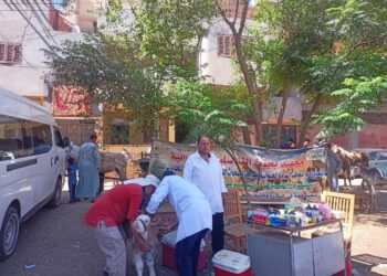 “الزراعة”: علاج وفحص أكثر من ٤٦٠٠ رأس ماشية بقرى محافظة المنوفية