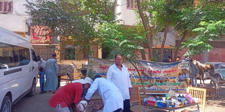 "الزراعة": علاج وفحص أكثر من ٤٦٠٠ رأس ماشية بقرى محافظة المنوفية 1 “الزراعة”: علاج وفحص أكثر من ٤٦٠٠ رأس ماشية بقرى محافظة المنوفية