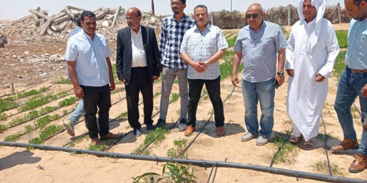 بحوث الصحراء ينظم قوافل إرشادية بزراعة شمال سيناء