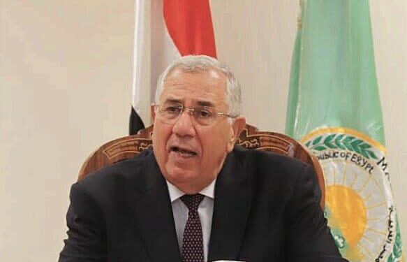 الزراعة: استيراد 145 ألف رأس عجول للذبيح الفوري والتربية والتسمين 1 السيد القصير وزير الزراعة واستصلاح الأراضي
