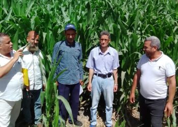 “الزراعة” تستعرض تقريرا حول أعمال مكافحة الآفات ومتابعة الحقول خلال شهر مايو