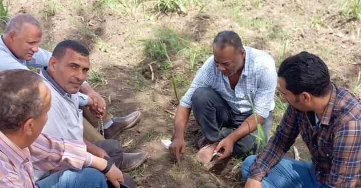 الزراعة : المجازر مستعدة لاستقبال الأضاحي..ونتابع برامج تربية التقاوى وعينات التصدير ومنع التعديات 1 الزراعة تؤكد على استمرار العمل في حقول إنتاج تقاوى الذرة الشامية