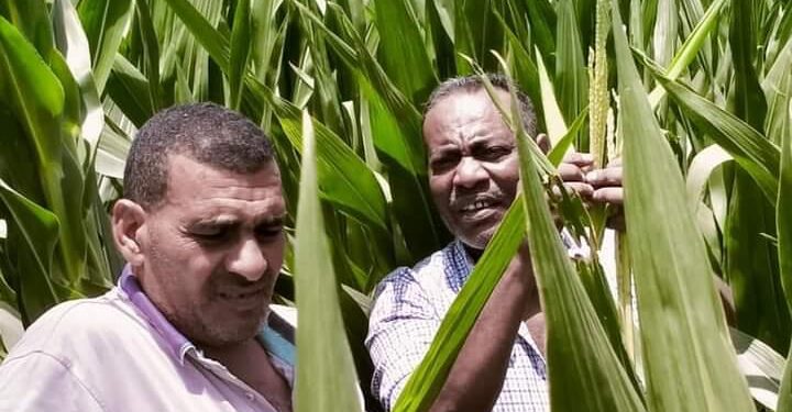 «الزراعة» تتابع برامج تربية التقاوي والمجازر تستعد لاستقبال الأضاحي