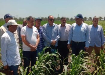 رئيس البحوث الزراعية يتفقد محطة الجميزة