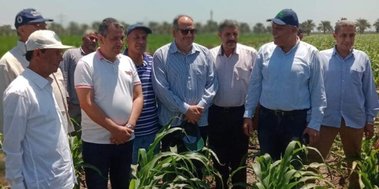 رئيس البحوث الزراعية يتفقد محطة الجميزة 1 رئيس البحوث الزراعية يتفقد محطة الجميزة