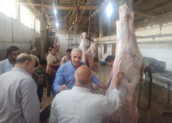 الزراعة: المجازر استقبلت 7300  أضحية ثالث أيام عيد الأضحى