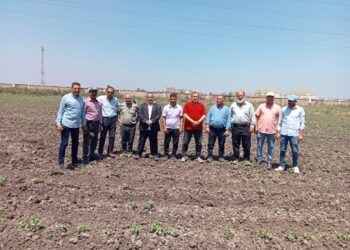 رئيس مركز البحوث الزراعية يتفقد محطة بحوث سخا