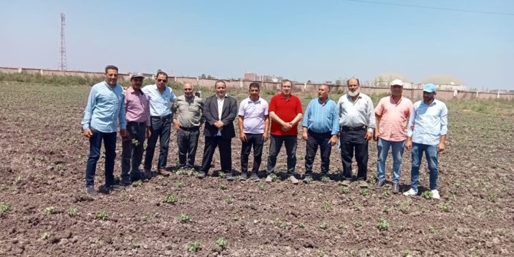 رئيس مركز البحوث الزراعية يتفقد محطة بحوث سخا 1 رئيس مركز البحوث الزراعية يتفقد محطة بحوث سخا