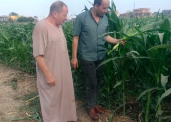 مكافحة الآفات