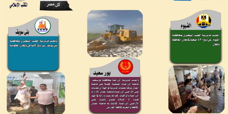 انفوجراف وفيديو|  تعرف على أنشطة وجهود مديريات الزراعة والطب البيطري خلال أسبوع 1 انفوجراف وفيديو|  تعرف على أنشطة وجهود مديريات الزراعة والطب البيطري خلال أسبوع