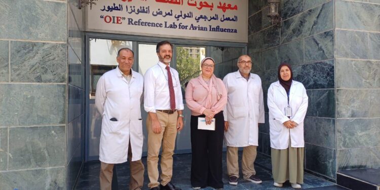 بحوث الصحة الحيوانية يستقبل وفد خبراء الهيئة القومية لسلامة الغذاء 1 الصحة الحيوانية