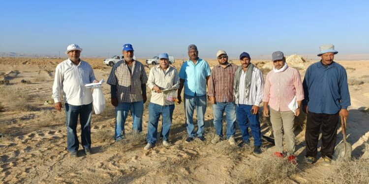 "بحوث الصحراء" يواصل العمل ليلا ونهارا بالتجمعات الزراعية في شمال سيناء 1 بحوث الصحراء