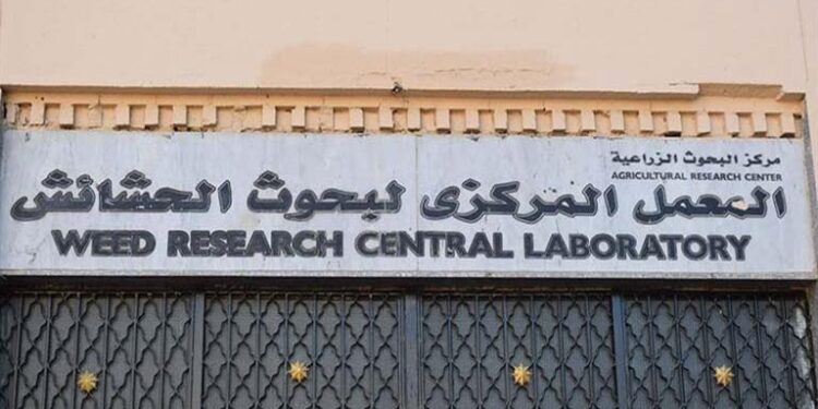 "مكافحة الحشائش فى المحاصيل الصيفية" برنامج تدريبي بمحطة بحوث سخا 1 مكافحة الحشائش