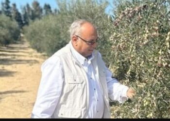 بحوث الصحراء: نركز علي قضايا التغيرات المناخية وملوحة التربة وزيادة الإنتاجية 