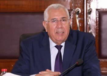 شتلات القصب