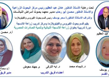 أمراض النباتات