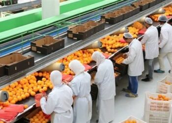 الصادرات الزراعية