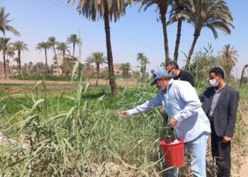 زراعة أسيوط