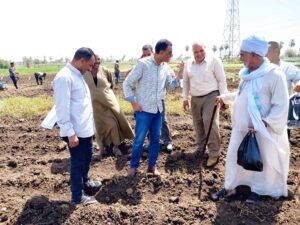 زراعة أسيوط تتابع الحقول الإرشادية