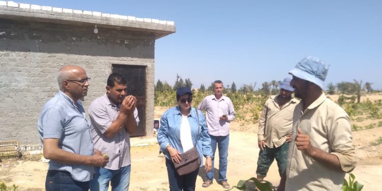 وكيل زراعة الإسكندرية يتفقد الإدارات الزراعية و الزراعات بالمديرية 1 زراعة الإسكندرية