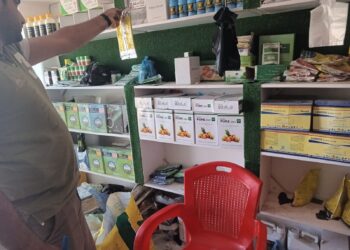 زراعة الإسكندرية