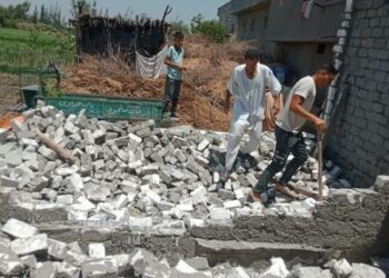 زراعة البحيرة