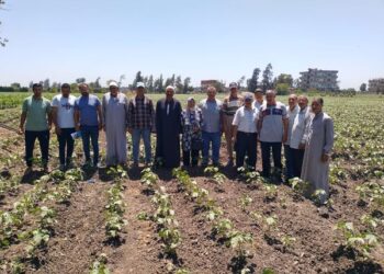 ندوة إرشادية بقرية إكراش بزراعة الشرقية