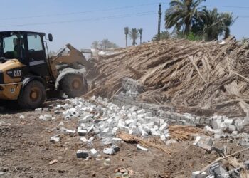 زراعة الفيوم