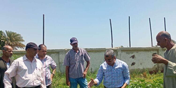 زراعة بني سويف تنظم فريق إرشادي ريفي لمحاصيل القطن والنباتات الطبية والعطرية 1 زراعة بني سويف