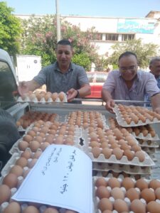 بيض المائدة.."الزراعة" : طرح كميات كبيرة بـ١٢٠جنيه للكرتونة بـ٧محافظات 12 بيض المائدة بسعر 120 جنيه للكرتونة