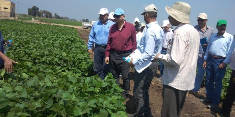 الزراعة تتابع البرامج البحثية للمحاصيل الحقلية الصيفية بمحطة بحوث سخا 1 الزراعة تتابع البرامج البحثية للمحاصيل الحقلية الصيفية بمحطة بحوث سخا