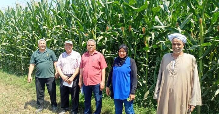 فرق إرشادية بزراعة الجيزة