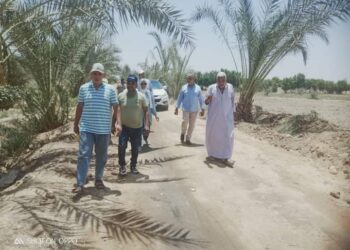 فريق إرشادي ريفي لمحصول الزيتون بزراعة السويس