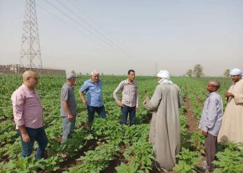وكيل زراعة أسيوط يزور الزراعات الصيفية