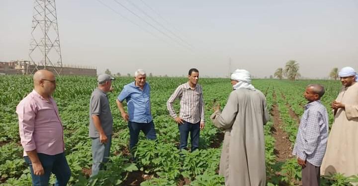 وكيل زراعة أسيوط يتفقد الزراعات الصيفية.. ويتابع دور الجمعيات الزراعية 1 وكيل زراعة أسيوط يزور الزراعات الصيفية