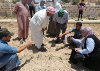 فريق إرشادي بمديرية زراعة الإسكندرية