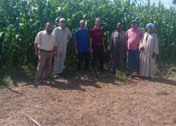 فريق إرشادي ريفي بمديرية زراعة قنا