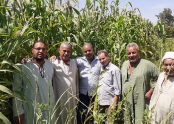 فريق إرشادي ريفي لمحصولي الذرة الشامية والرفيعة