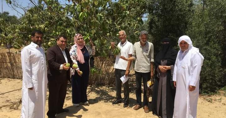فريق إرشادي ريفي لمحصول المانجو بمديرية زراعة شمال سيناء 1 زراعة شمال سيناء تنفذ فريق إرشادي ريفي