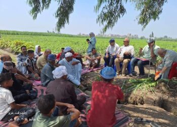 زراعة الشرقية تعقد ندوة إرشادية عن محصول القطن
