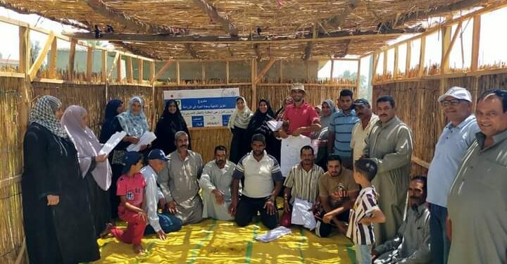 مدرسة حقلية لمحصول الأرز بزراعة كفر الشيخ 1 مدرسة حقلية لمحصول الأرز