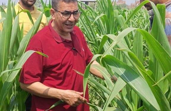 وكيل زراعة القليوبية يتابع الزراعات الصيفية