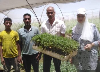 زراعة الإسكندرية تتابع زراعات الصوب الزراعية