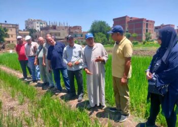 فريق إرشادي ريفي بزراعة الدقهلية