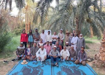 ندوة إرشادية عن محصول النخيل بمديرية زراعة الوادي الجديد