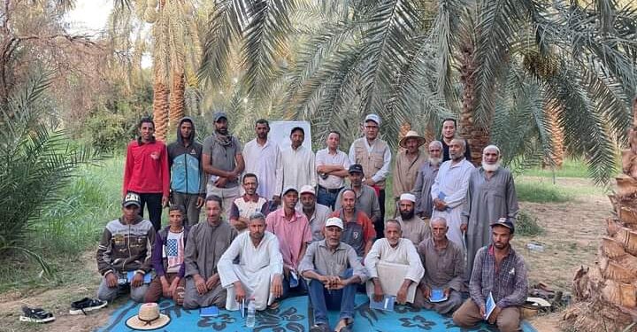 ندوة إرشادية عن محصول النخيل بمديرية زراعة الوادي الجديد