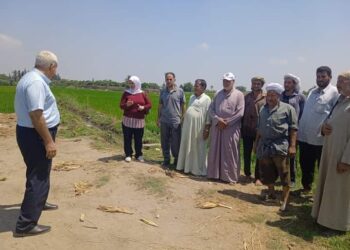 زراعة الشرقية تنفذ فريق إرشادي ريفي