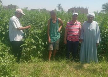 زراعة قنا تنفذ فريق إرشادي ريفي