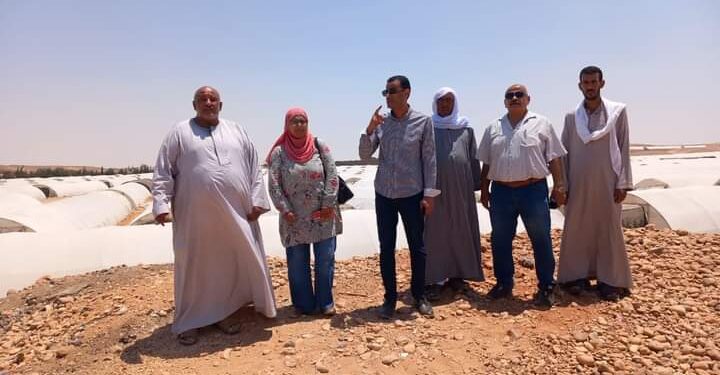 «صبحي» يتفقد الصوب الزراعية والزراعات الصيفية بقرية « بنى عدى البحرية »..ويفتتح دورة مطبقى المبيدات 1 صبحي يتفقد الصوب الزراعية